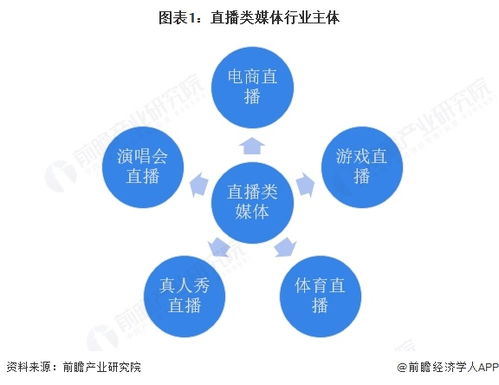 2025年中國傳媒行業(yè)細(xì)分市場分析 技術(shù)賦能與垂類深耕驅(qū)動(dòng)下的網(wǎng)絡(luò)技術(shù)開發(fā)生態(tài)